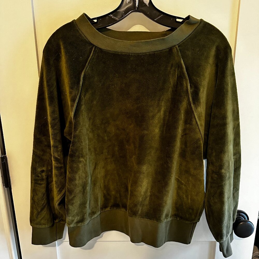 Suzie Kondi Saba Raglan Top in Velour Green